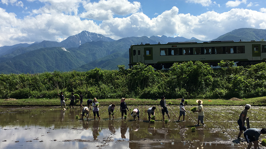 ザイマックスヴィレッジ 画像2